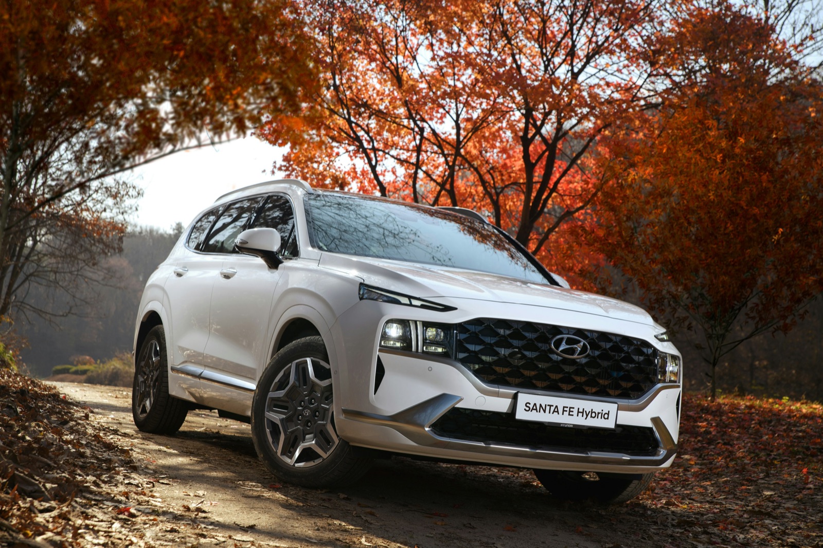 Hyundai Santa Fe Hybrid